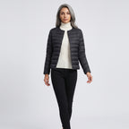 Damen Leichte Steppjacke ohne Kapuze – Regular Fit — Schwarz